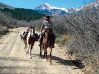 Trail Happenings, Moab Utah, Picture 2